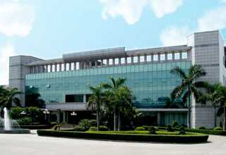 漳州购买安海土笋冻