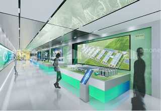 专业生产土笋冻价格便宜