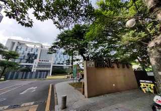 浙江各种款式的古琴实用知识