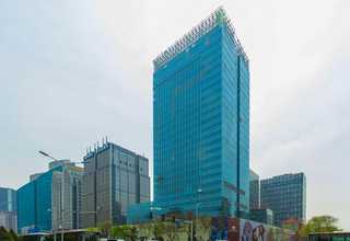 仙居县观赏草养护要求